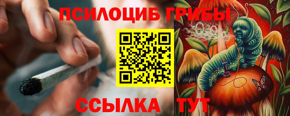 Псилоцибиновые грибы мицелий  Вход с VPN  Северск 