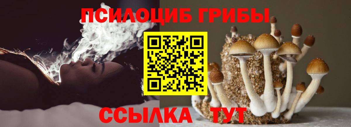 Галлюциногенные грибы прущие грибы Северск